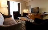 Туры в отель Hilton Garden Inn Ankara Gimat