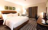 Туры в отель Hilton Garden Inn Ankara Gimat