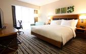 Туры в отель Hilton Garden Inn Ankara Gimat