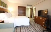 Туры в отель Hilton Garden Inn Ankara Gimat