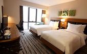 Туры в отель Hilton Garden Inn Ankara Gimat