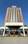 Туры в отель Holiday Inn Express - Ankara - Airport