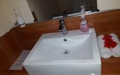 Туры в отель Sigiri Hibiscus Villa