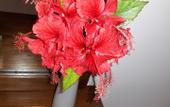 Туры в отель Sigiri Hibiscus Villa