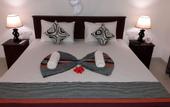 Туры в отель Sigiri Hibiscus Villa