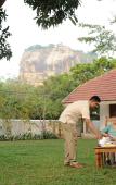 Туры в отель Ekho Sigiriya