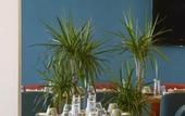 Туры в отель Maia Hotel Suites