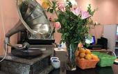 Туры в отель Hotel Al Karmel