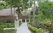 Туры в отель Coco Resort Penida