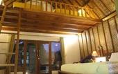 Туры в отель Coco Resort Penida