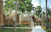 Туры в отель Coco Resort Penida