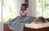 Туры в отель Coco Resort Penida