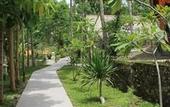 Туры в отель Coco Resort Penida