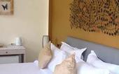 Туры в отель Labak River Hotel By Eps