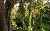 Туры в отель Labak River Hotel By Eps