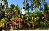 Туры в отель Alona Tropical Beach Resort