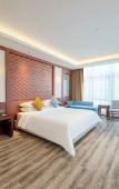 Туры в отель Xinjiang Plaza Holiday