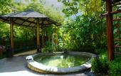 Туры в отель Lingshui Hilton Garden Inn Hot Springs Hotel