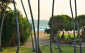 Туры в отель Ocean View
