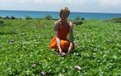 Туры в отель Ocean View