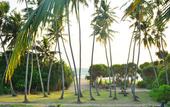 Туры в отель Ocean View