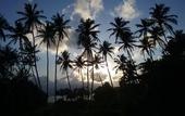 Туры в отель Ocean View