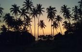 Туры в отель Ocean View