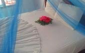 Туры в отель Ocean View