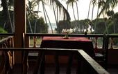 Туры в отель Ocean View