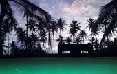 Туры в отель Ocean View