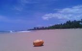 Туры в отель Ocean View