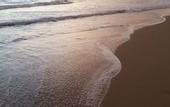 Туры в отель Ocean View