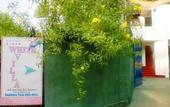 Туры в отель White Villa