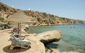 Туры в отель WB TRAVEL Dreams Vacation