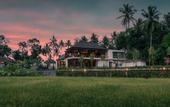 Туры в отель Asvara Resort & Spa Ubud By Ini Vie Hospitality