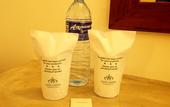 Туры в отель Jade Green Hotel Hambantota