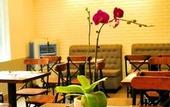 Туры в отель Eden Hotel Hue