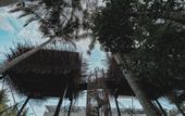 Туры в отель The Sebali Penida Beach Resort