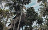 Туры в отель The Sebali Penida Beach Resort