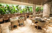 Туры в отель Rayelin Hotel Taksim