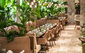 Туры в отель Rayelin Hotel Taksim