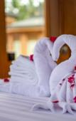 Туры в отель Hotel Le Temple