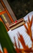 Туры в отель Hotel Le Temple