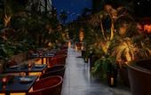 Туры в отель Hollywood Volume, a Tribute Portfolio Hotel