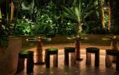 Туры в отель Hollywood Volume, a Tribute Portfolio Hotel
