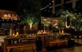 Туры в отель Hollywood Volume, a Tribute Portfolio Hotel