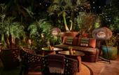 Туры в отель Hollywood Volume, a Tribute Portfolio Hotel