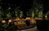 Туры в отель Hollywood Volume, a Tribute Portfolio Hotel