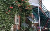 Туры в отель Dunyasha Guest House