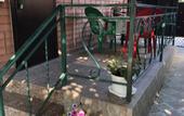 Туры в отель Dunyasha Guest House